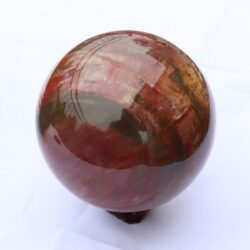 Versteinertes Holz Kugel 3